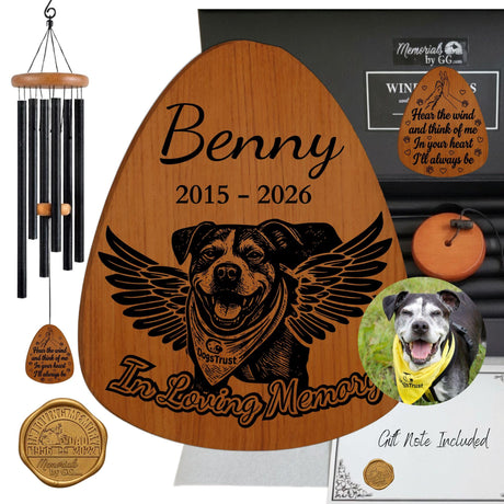 Pet Memorial Gifts for Dogs with Photo - Loss of a Dog Paw Sympathy Gift